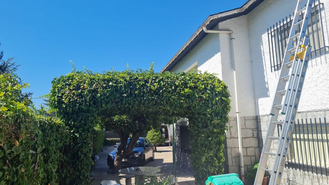 Casa con árboles y hojas — trabajo de Canalones Sierra